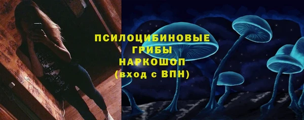дживик Алзамай