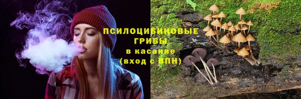 наркотики Алексин