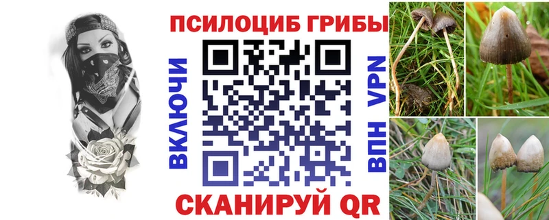 Псилоцибиновые грибы Magic Shrooms  KRAKEN зеркало  Ивдель 
